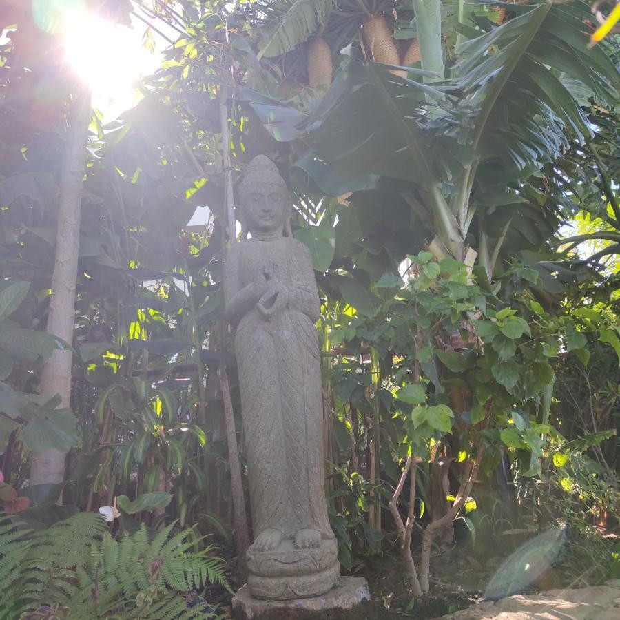 Elescondite Sauzal Luaran gambar